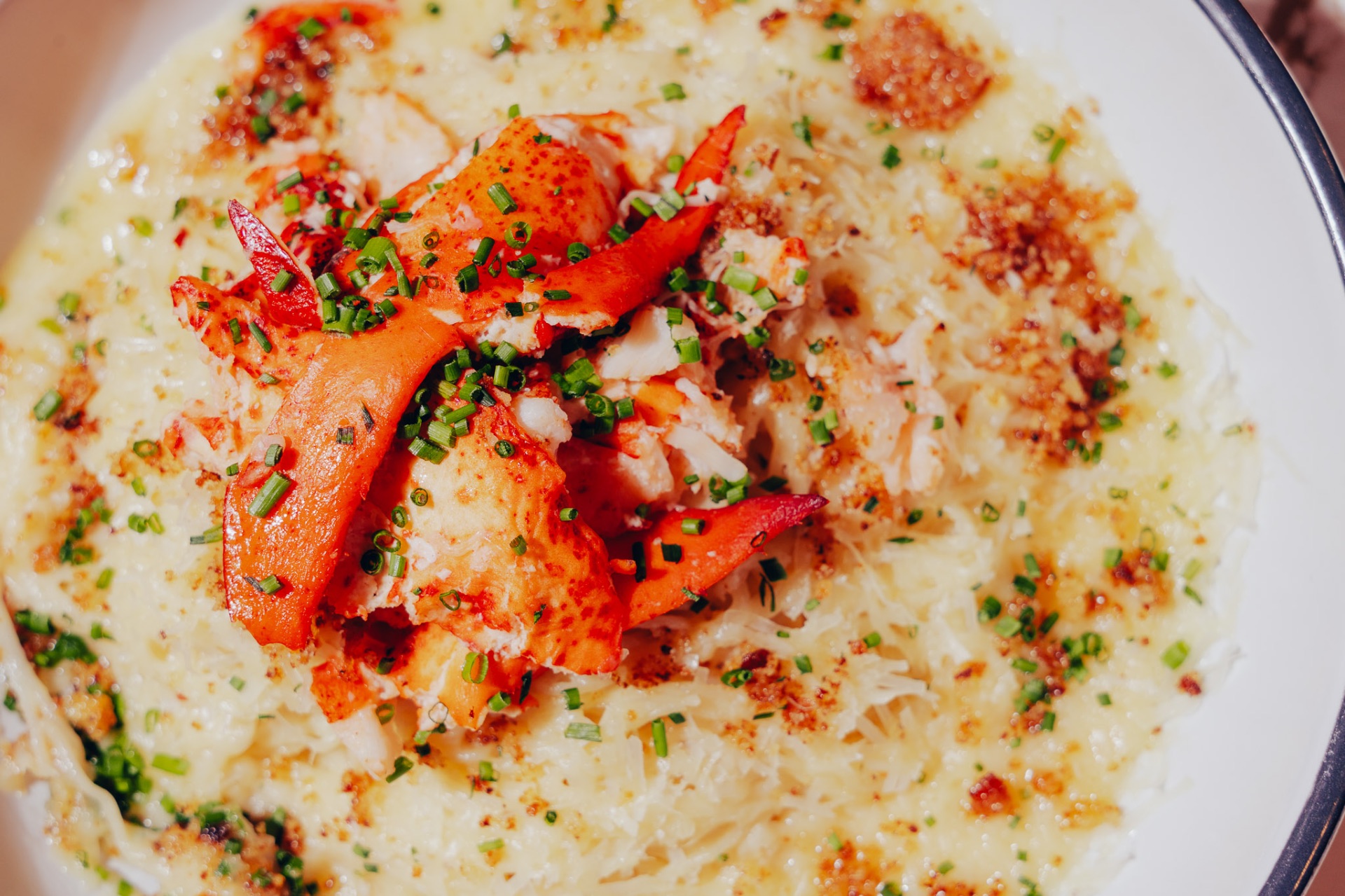 Close-up of lobster and crab over cheesy pasta at White Wine & Butter